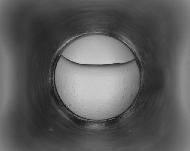 X0000084520155200703021405