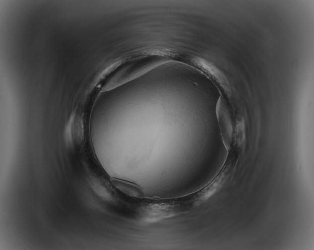 X0000084520158200703021405