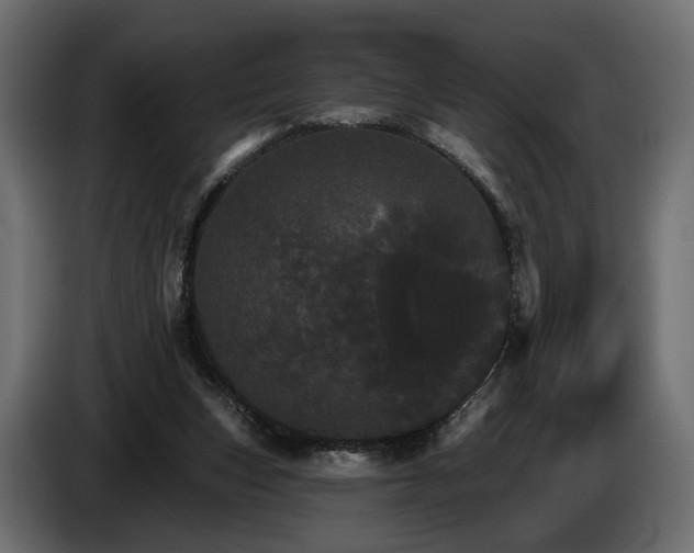 X0000084520159200703021405