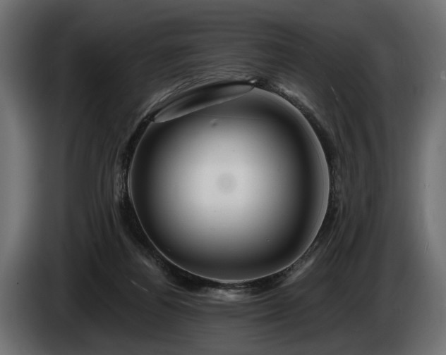 X0000084520164200703021405