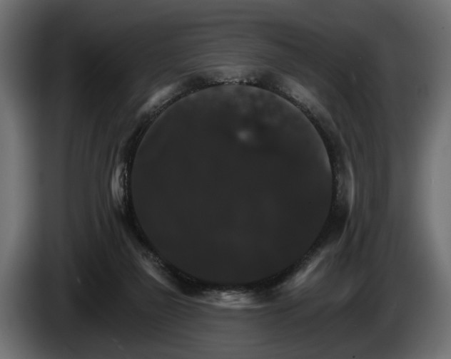 X0000084520165200703021405