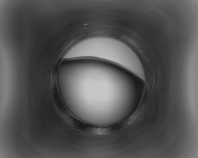 X0000084520168200703021405