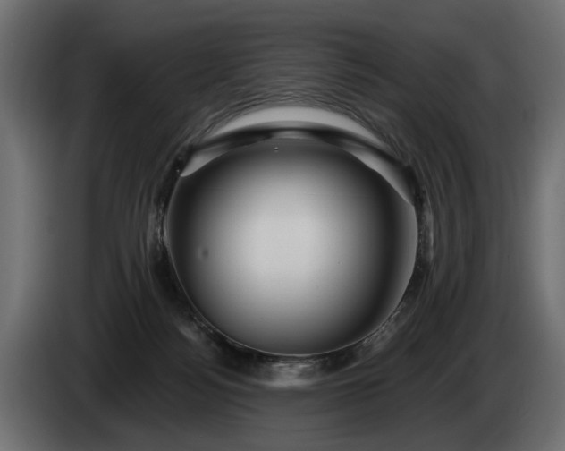 X0000084520172200703021405