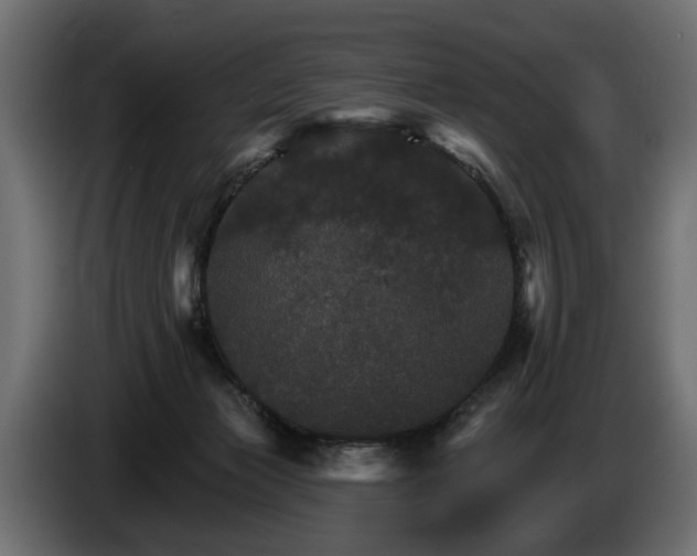 X0000084520173200703021405