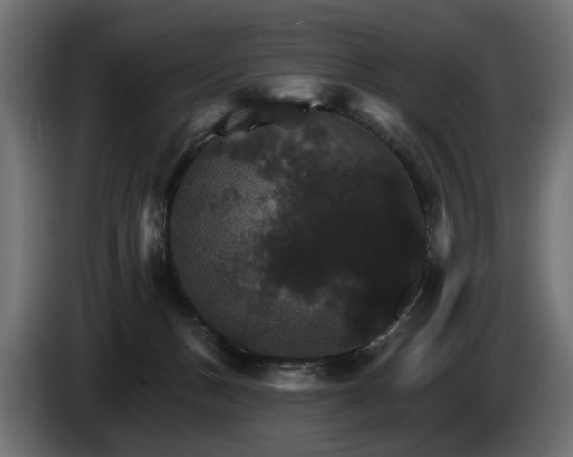 X0000084520175200703021405