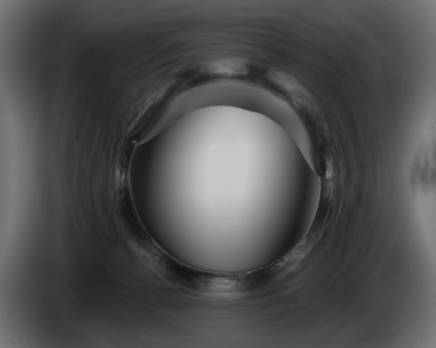 X0000084520176200703021405