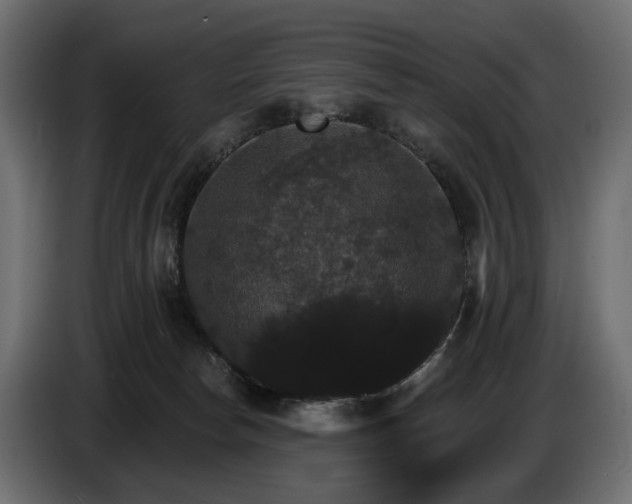 X0000084520178200703021405