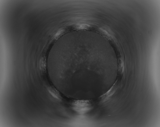 X0000084520179200703021405