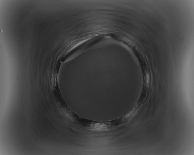 X0000084520180200703021405