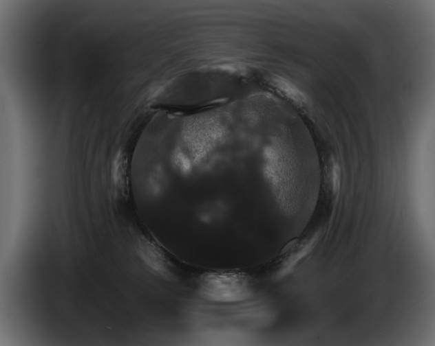 X0000084520181200703021405