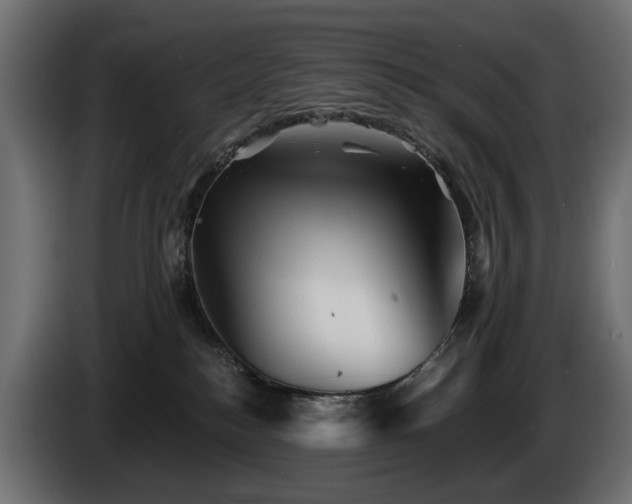 X0000084520184200703021405