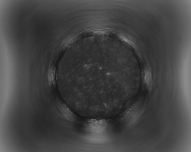 X0000084520185200703021405