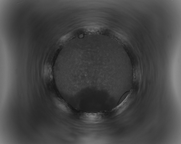 X0000084520187200703021405