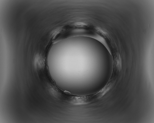 X0000084520188200703021405