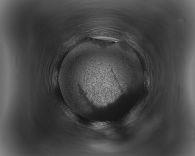 X0000084520189200703021405