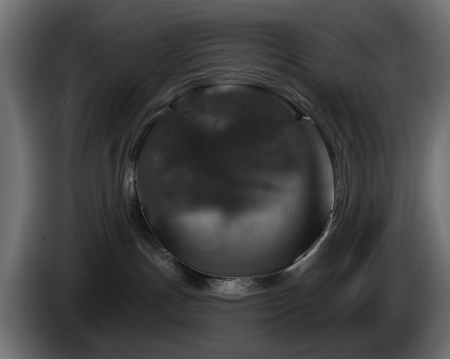 X0000084520191200703021405