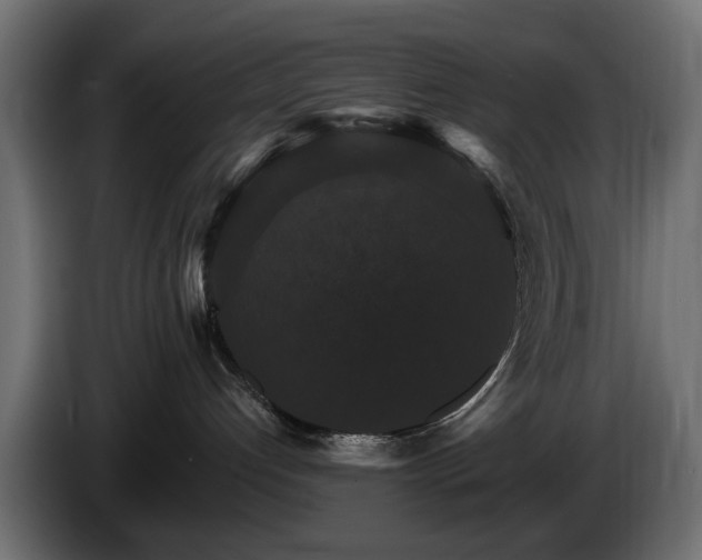 X0000084520192200703021405