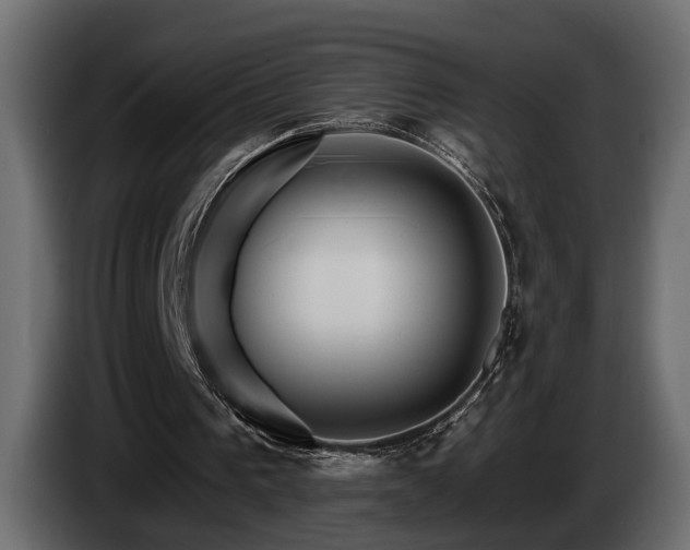 X0000084520193200703021404