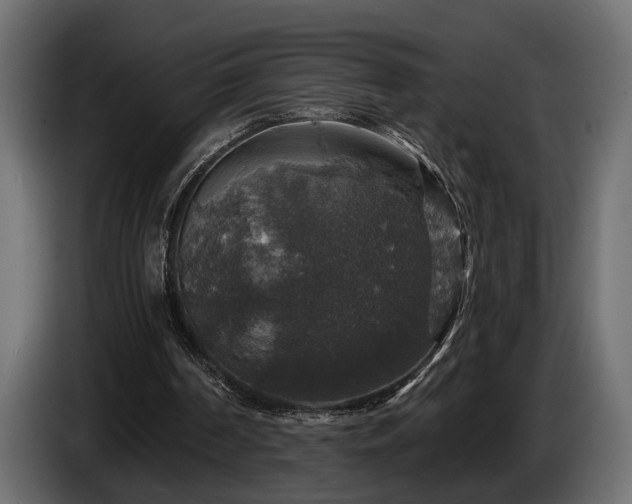 X0000084520194200703021404