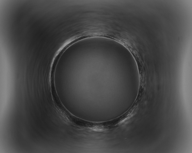 X0000084520196200703021404