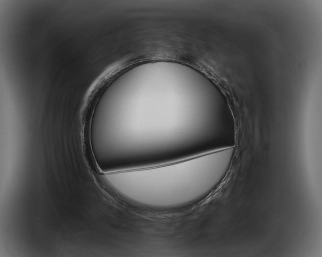 X0000084520197200703021404