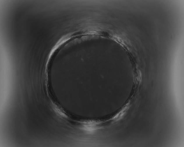 X0000084520198200703021404