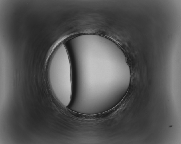 X0000084520200200703021404