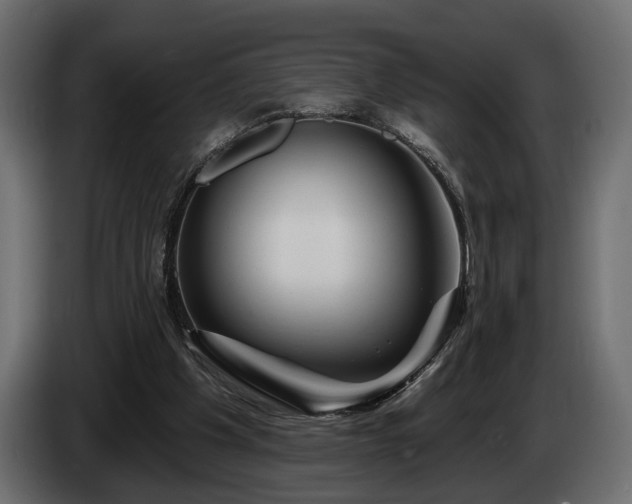 X0000084520201200703021404