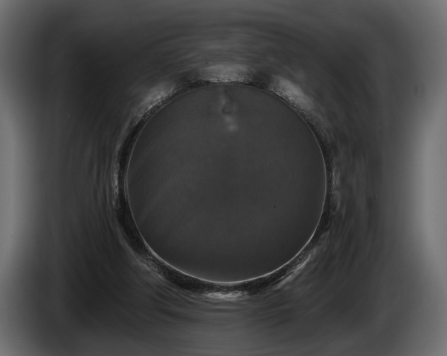 X0000084520202200703021404