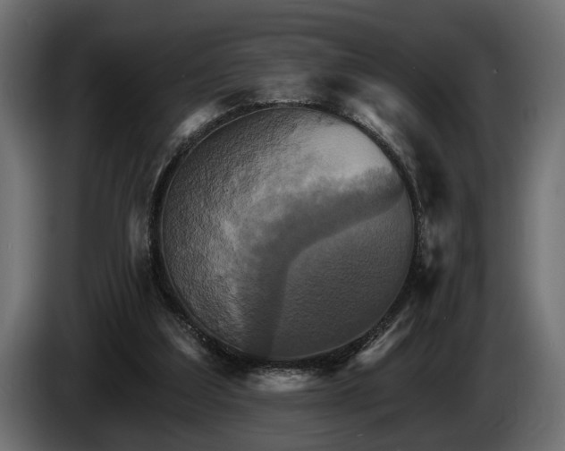 X0000084520203200703021404