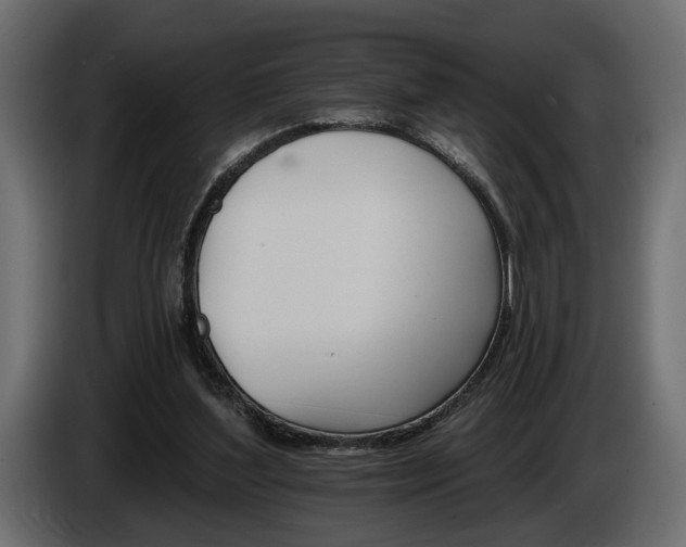 X0000084520204200703021404