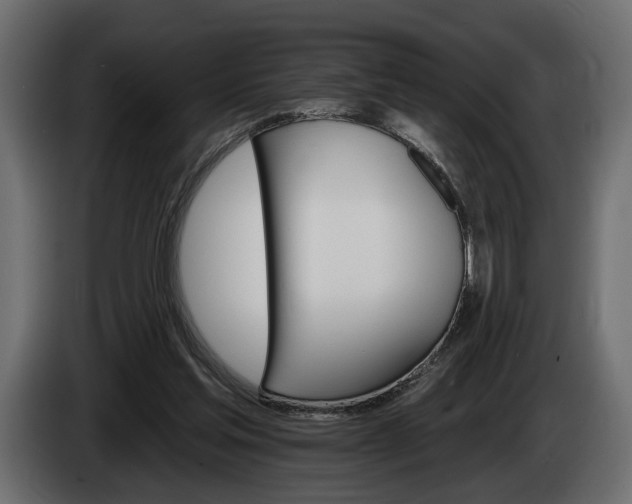 X0000084520205200703021404