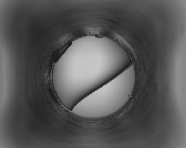 X0000084520209200703021404