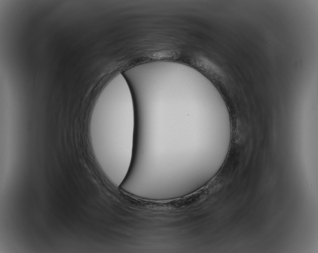 X0000084520210200703021404