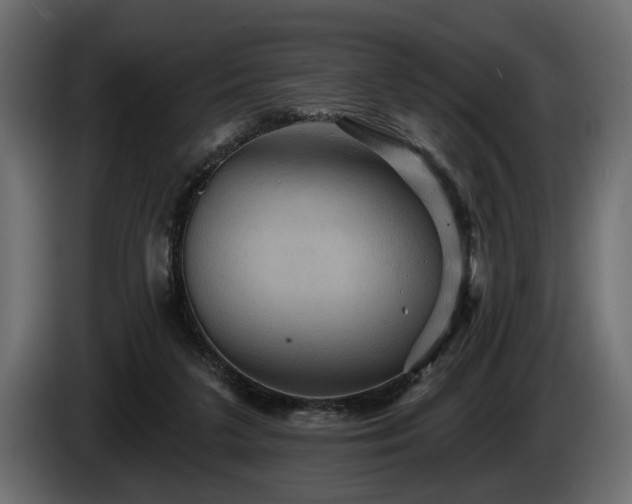 X0000084520211200703021404