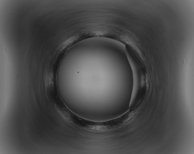 X0000084520212200703021404