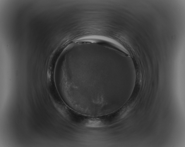 X0000084520214200703021404