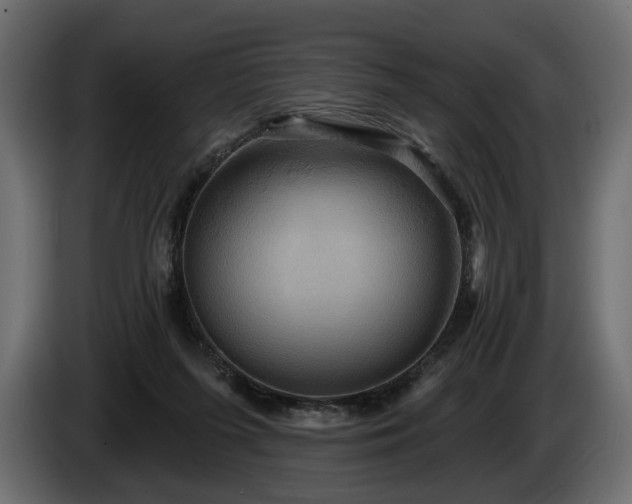 X0000084520215200703021404