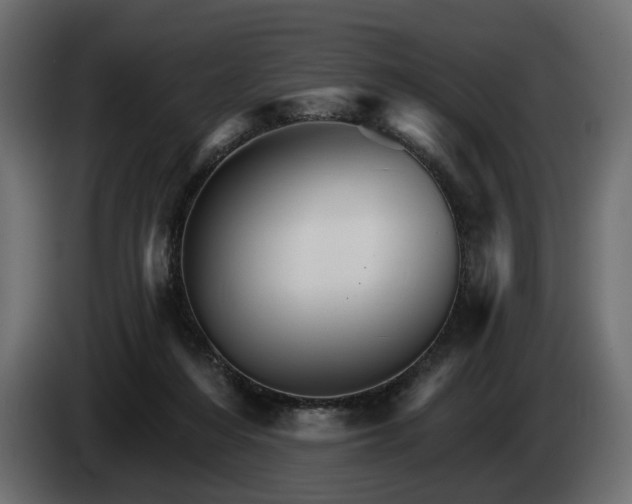 X0000084520216200703021404