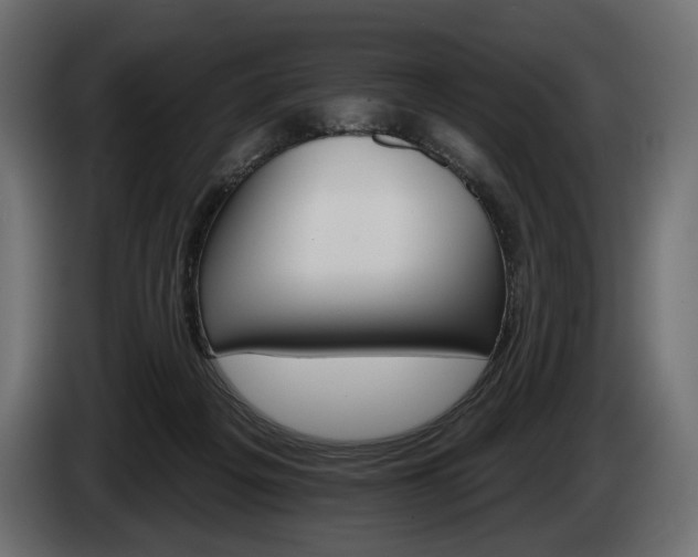 X0000084520217200703021404