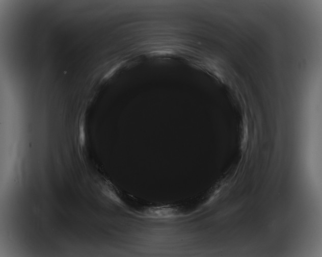 X0000084520219200703021404