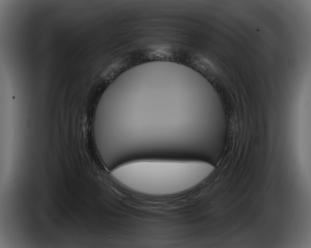 X0000084520223200703021404