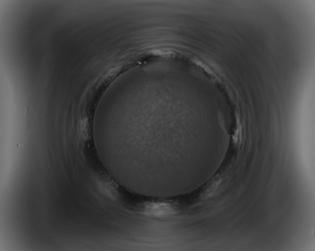 X0000084520224200703021404