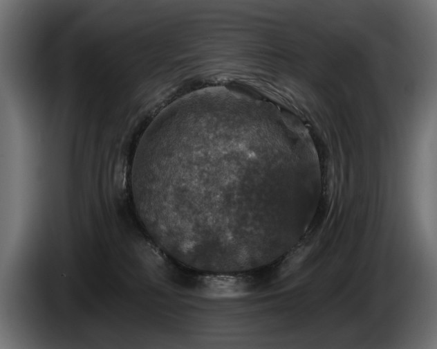 X0000084520230200703021404