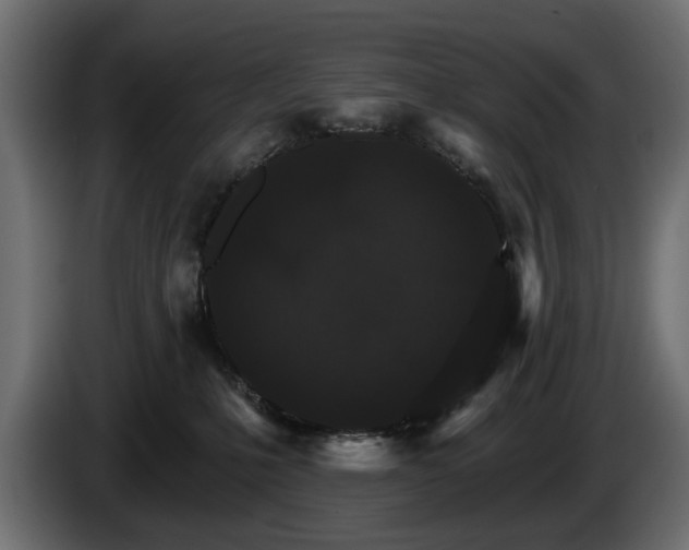 X0000084520231200703021404