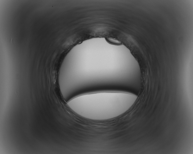 X0000084520232200703021404