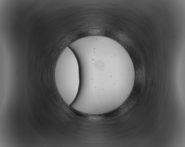 X0000084520234200703021404