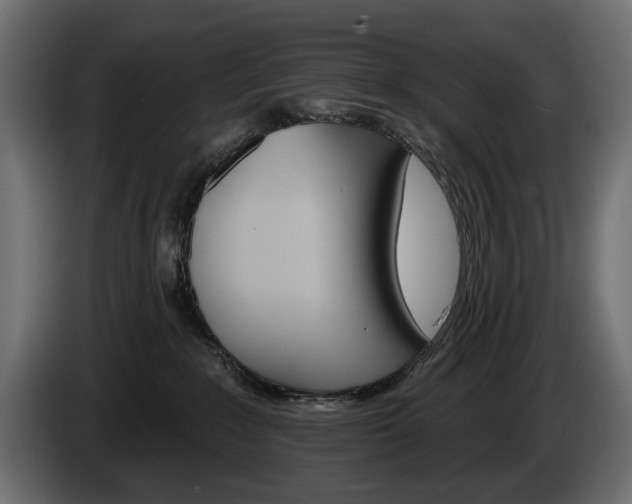 X0000084520235200703021404