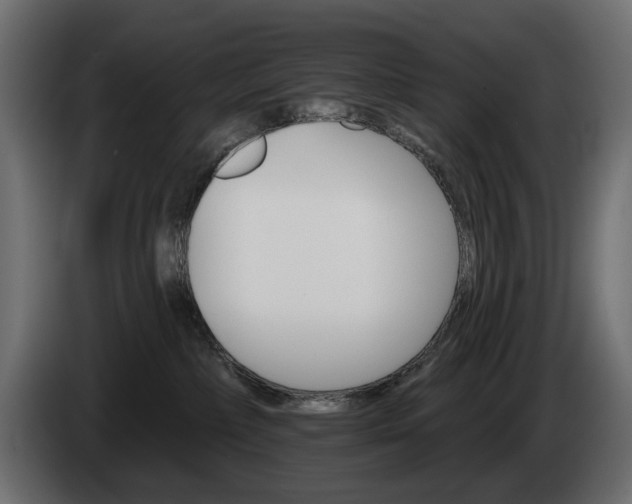 X0000084520236200703021404