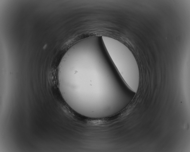 X0000084520237200703021403